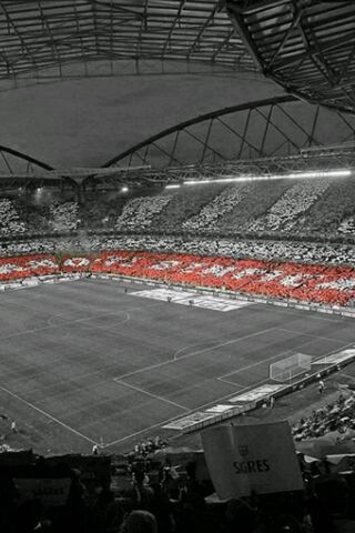 Stadium Spectacle: The Heart of SLB ❤️⚽