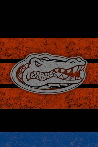 Gator Vibes Unleashed! 🐊🔥