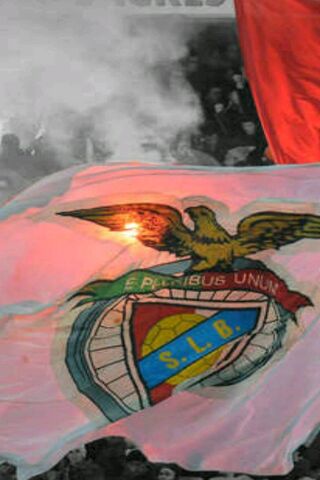 The Spirit of SLB: A Flag of Passion 🇵🇹⚽