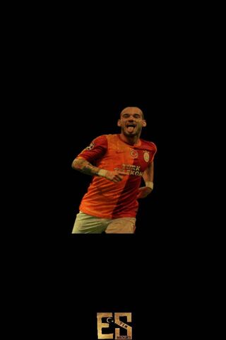 Golden Glory: Sneijder's Triumph