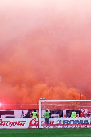 Fiery Passion: The Delije Experience 🔥⚽️