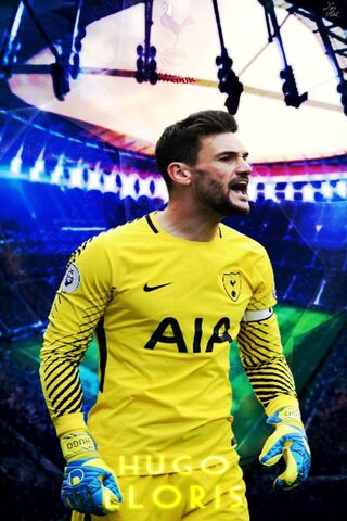 The Guardian of the Goal: Hugo Lloris