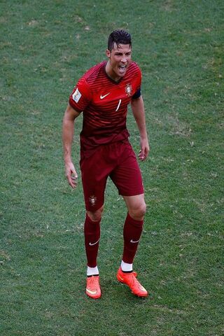 The Passion of a Champi..