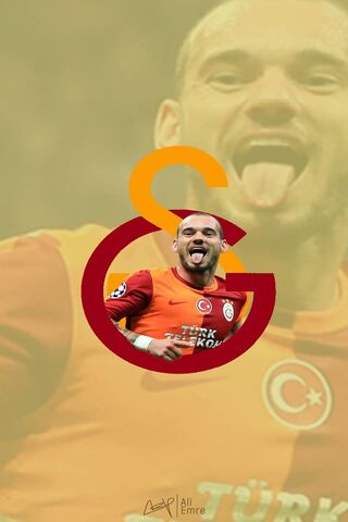 Wesley Sneijder Wp