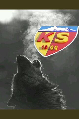 Kayserispor