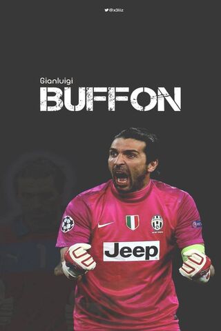 Buffon Wallpaper - Download to your mobile from PHONEKY
