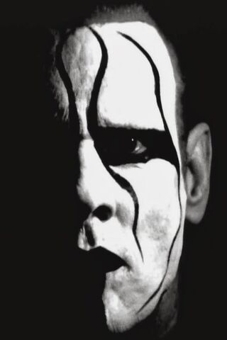 The Enigmatic Sting: A ..
