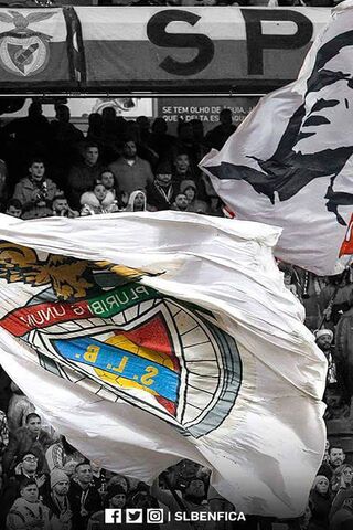 The Spirit of SLB: A Sea of Passion! 🇵🇹⚽️