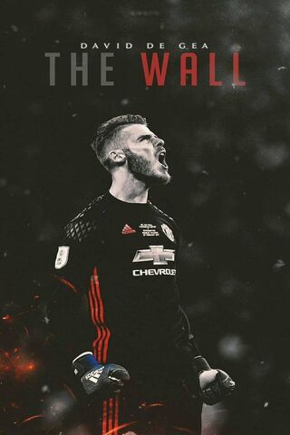 The Guardian of the Goal ⚽🛡️