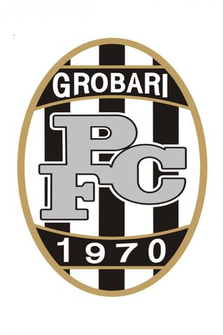 Grobari: The Heart of Football Passion ⚽️❤️