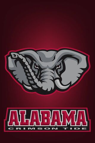 Roll Tide! The Spirit of Alabama Crimson Tide 🐘❤️