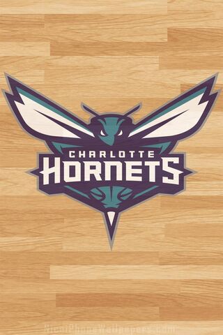 Charlotte Hornets