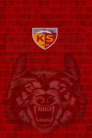 Kayserispor