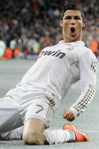The Celebration of a Le..