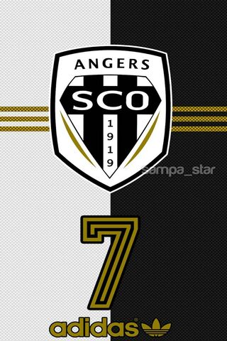 Angers SCO: A Legacy in Black and White ⚽️