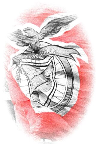 The Spirit of SLB: A Flag of Unity and Pride 🇧🇷