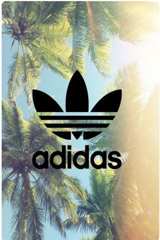 Chillin' with Adidas: A..