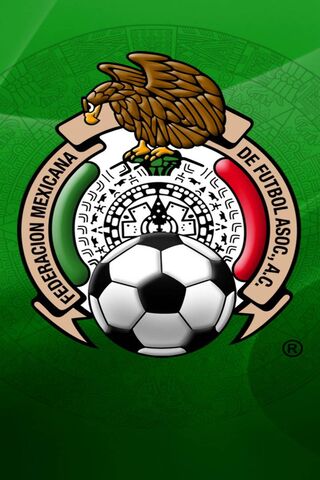 Pride of Mexican Football: The Emblem of the Federación Mexicana