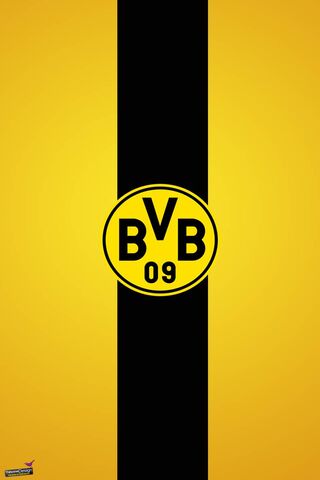 The Iconic Colors of BVB Dortmund ⚽💛🖤