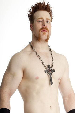 Sheamus | WWE 2K15 Roster