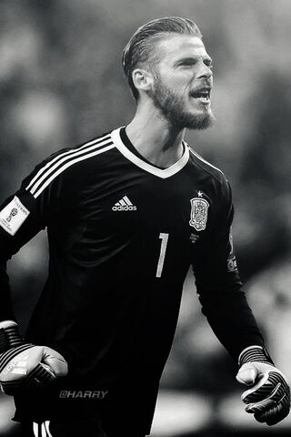The Guardian of the Goal: De Gea in Action ⚽️🧤