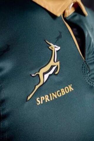 Rugby Passion: The Spirit of South Africa 🇿🇦🏉 Wallpaper - Download to ...