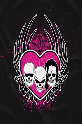 Heart and Soul of Wrestling: The Hart Foundation