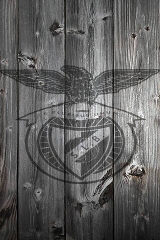 SLB: A Legacy of Passion and Pride ⚽️