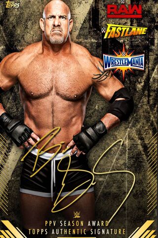 Goldberg Sting Hogan Wallpaper - Download to your mobile from PHONEKY