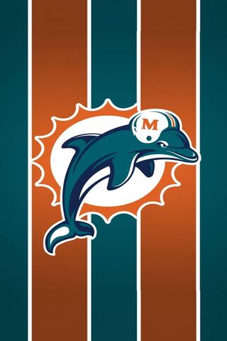 Miami Dolphins Spirit 🐬🏈