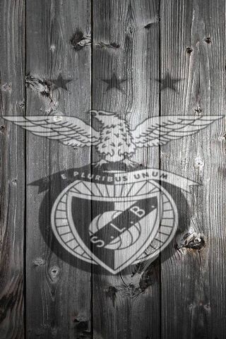 SLB: A Legacy of Passion and Pride ⚽️🦅