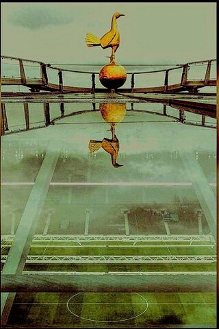 The Iconic Cockerel: A Symbol of Tottenham Hotspur 🐔⚽