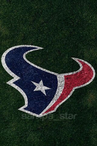 Houston Texans: Pride on the Field! 🏈✨