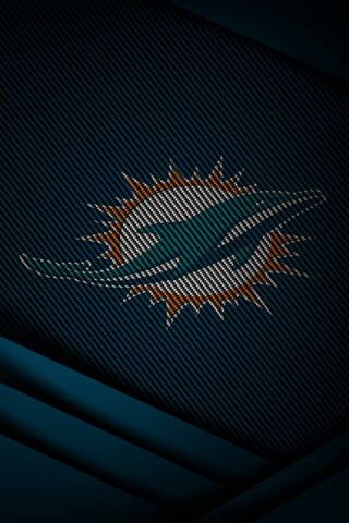 Dolphins Unite! 🐬🏈