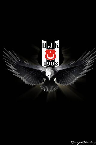 The Spirit of Beşiktaş: A Legacy in Flight 🦅⚽️