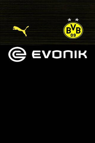 BVB Spirit: The 2018-2019 Season