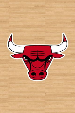 The Iconic Chicago Bull..