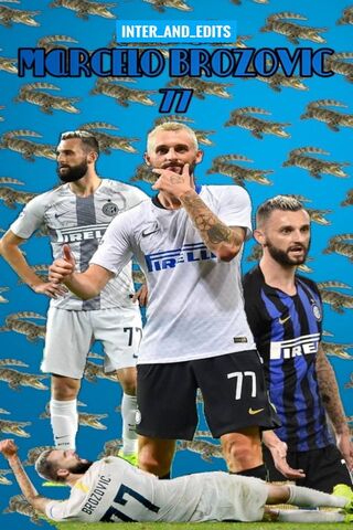 Brozovic Croco: The Midfield Maestro 🐊⚽