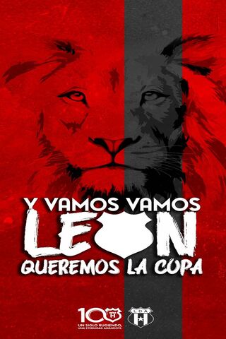Roaring for Glory: Vamos León! 🦁🏆