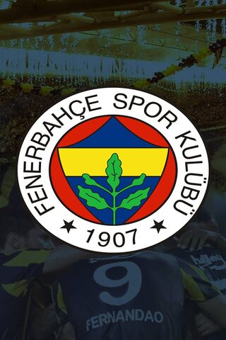 Fenerbahçe: The Heart of Turkish Football ⚽️💛💙