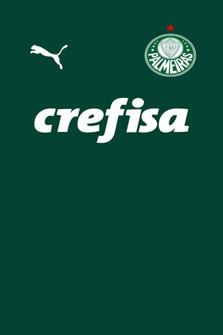 New Palmeiras 2019