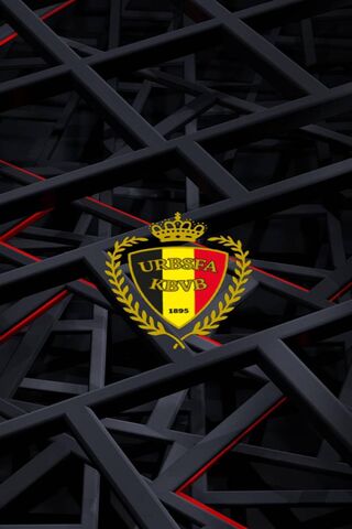 The Heart of Belgian So..