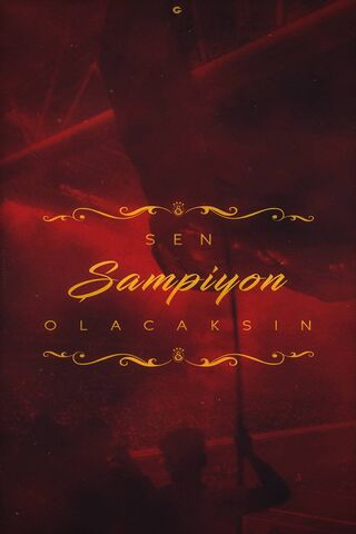 Champions of Passion: Galatasaray's Glory 🏆❤️