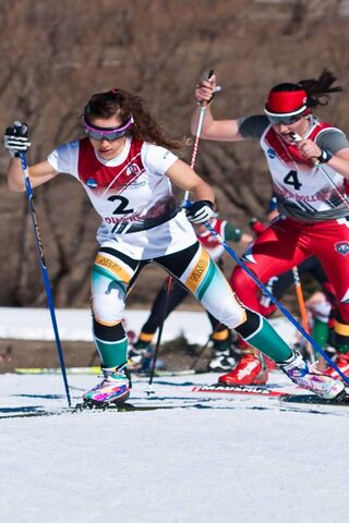 Racing Down the Slopes: A Skiing Showdown! ⛷️🏁