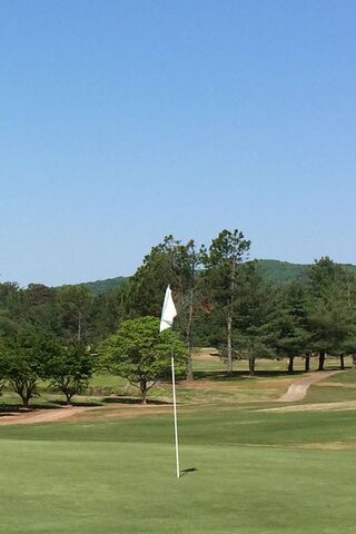 A Day on the Green: Golfing Bliss ⛳️🌳