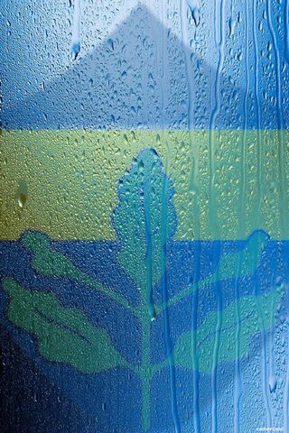 Fenerbahçe: A Symbol of Passion and Pride 🌟⚽