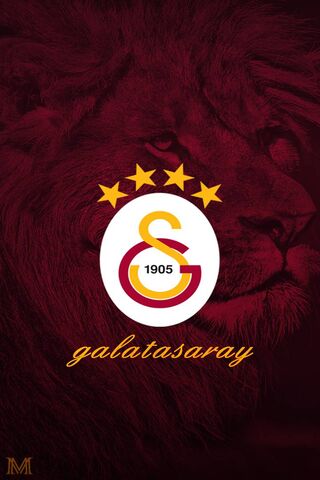 Roaring Pride: The Spirit of Galatasaray 🦁⚽️