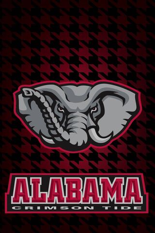 Roll Tide! The Spirit of Alabama Crimson Tide 🐘❤️