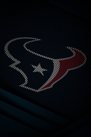 Houston Texans: A Symbol of Team Spirit 🏈✨