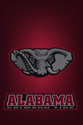 Roll Tide! The Spirit of Alabama Crimson Tide 🐘❤️